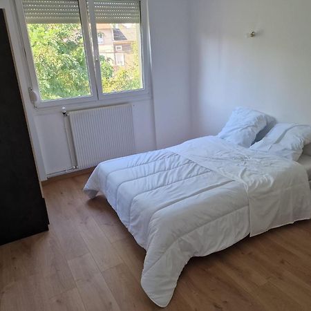 Location Appartement 80M2 A Rombas Bagian luar foto